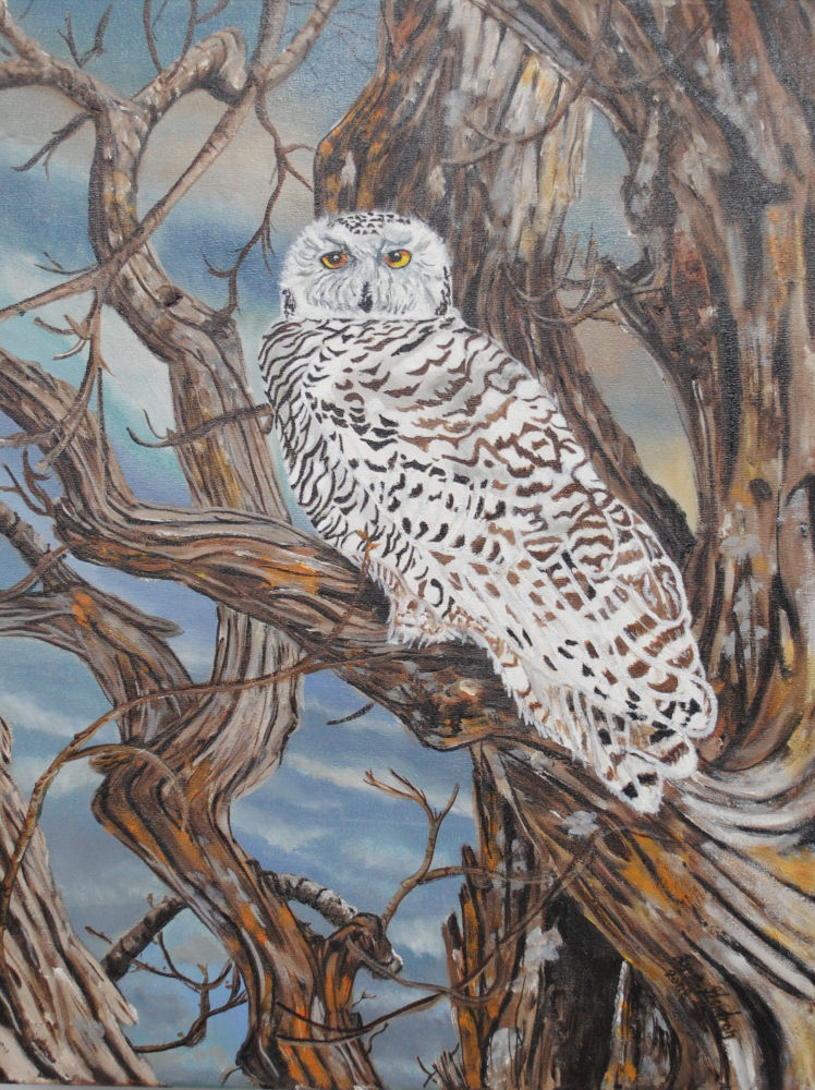 La chouette, 24" x 18" - J'ai déjà fait un hibou, il me fallait une chouette. - I already made an owl, I needed an owl...in french we say Hibou for the one with ears and Chouette for the one without.