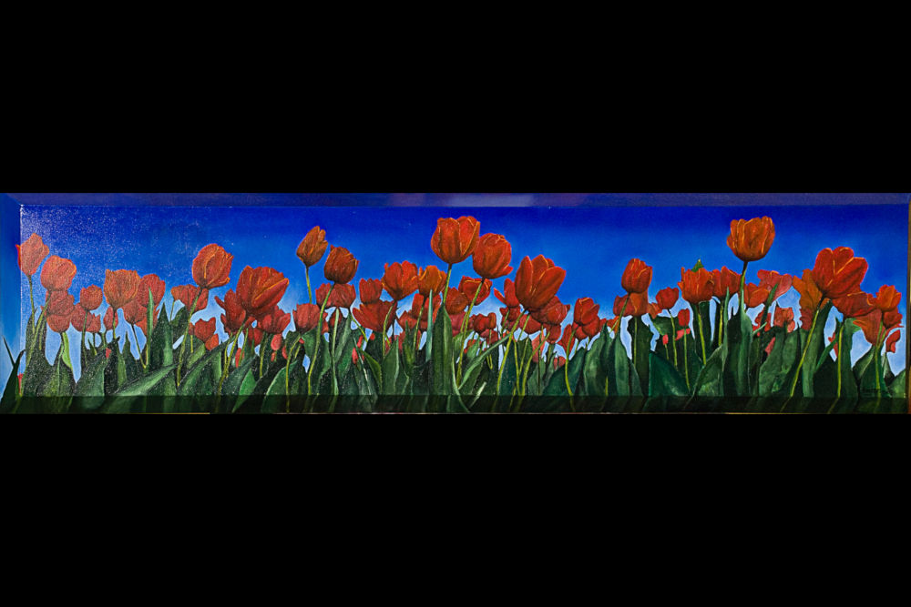 Tulipes, 12" x 36" - Demande spéciale, un champ de tulipes. - Special request, a tulip field.