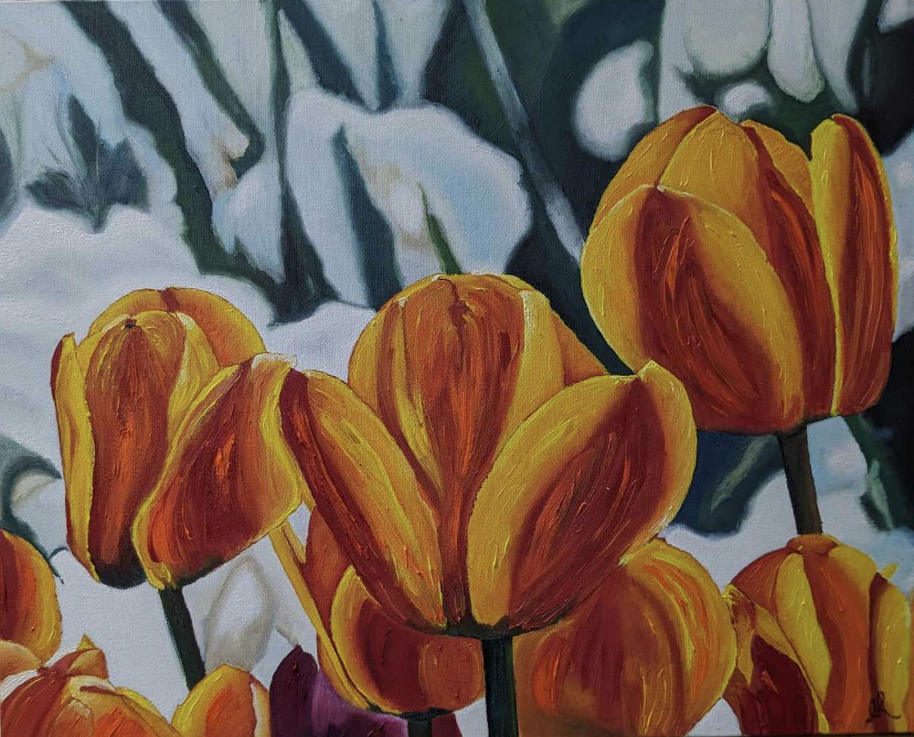 Les tulipes de Keukenhof - huile sur toile - 16po x 20po