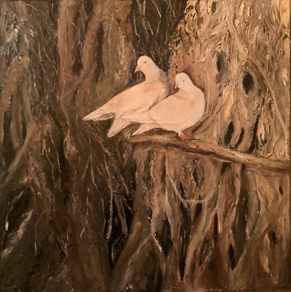 Doves - Huile sur toile - 20 x 20 po - Oil on canvas