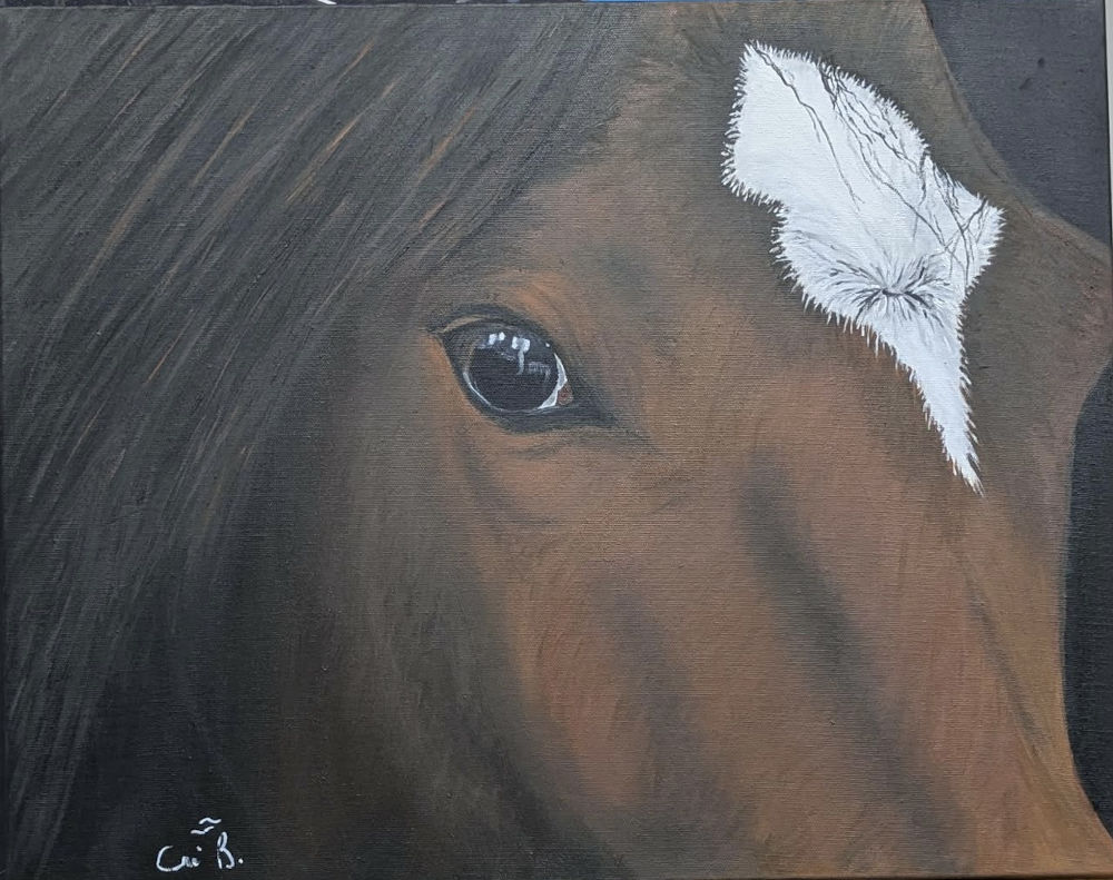 Whisper - Huile sur toile - 16 x 20 po - Oil on Canvas